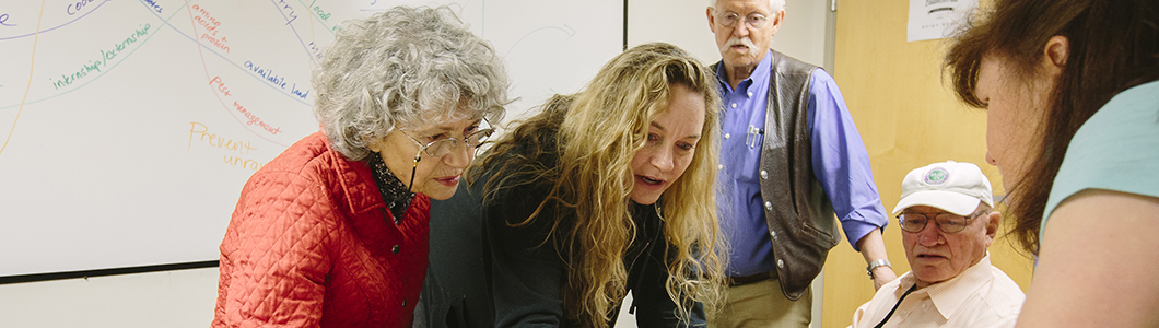 A group of students discuss strategies with a professor.