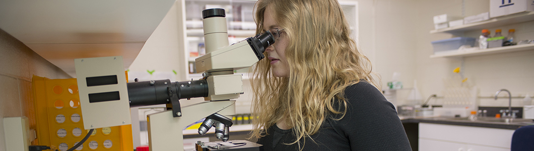 Researcher examining a slide under a microscope