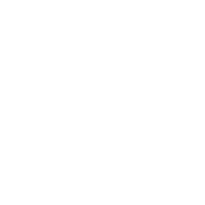 An illustration of a spedometer, an arrow circling clockwise in order to indicate high performance.