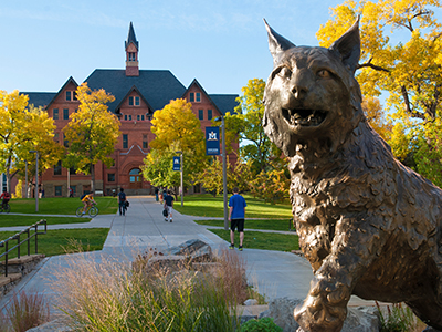 Statue of Spririt the Bobcat in fall.