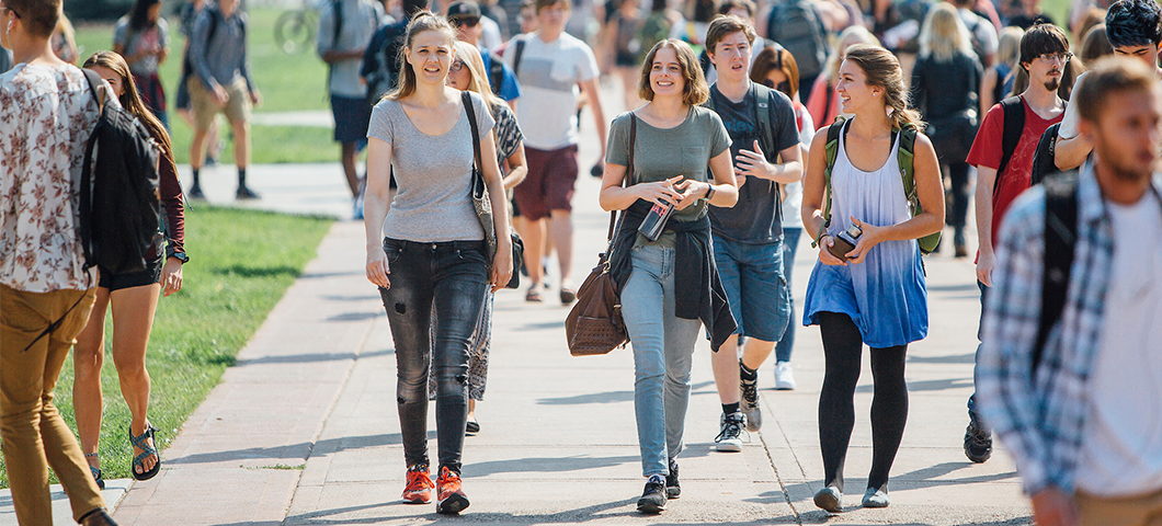 A group of students walk down the Centennial Mall in summer.