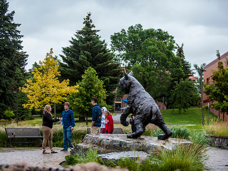 View of campus during the club fair in summer.