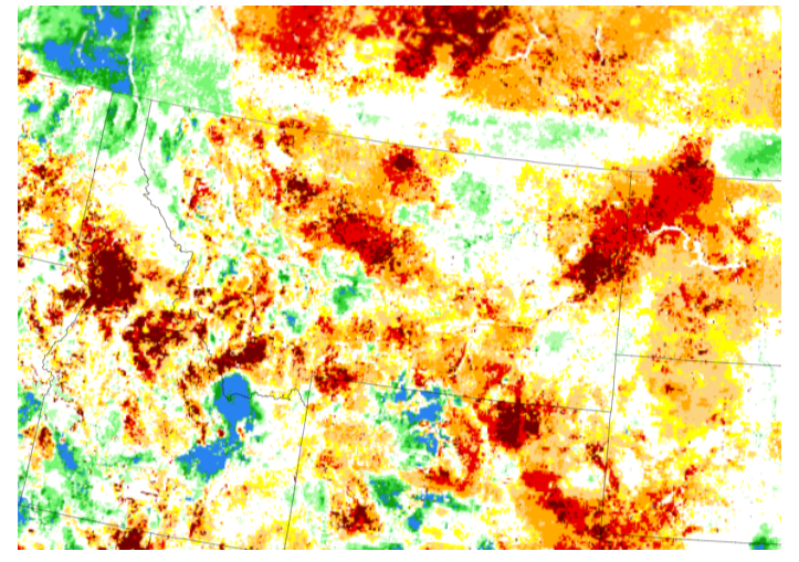 Drought in Montana