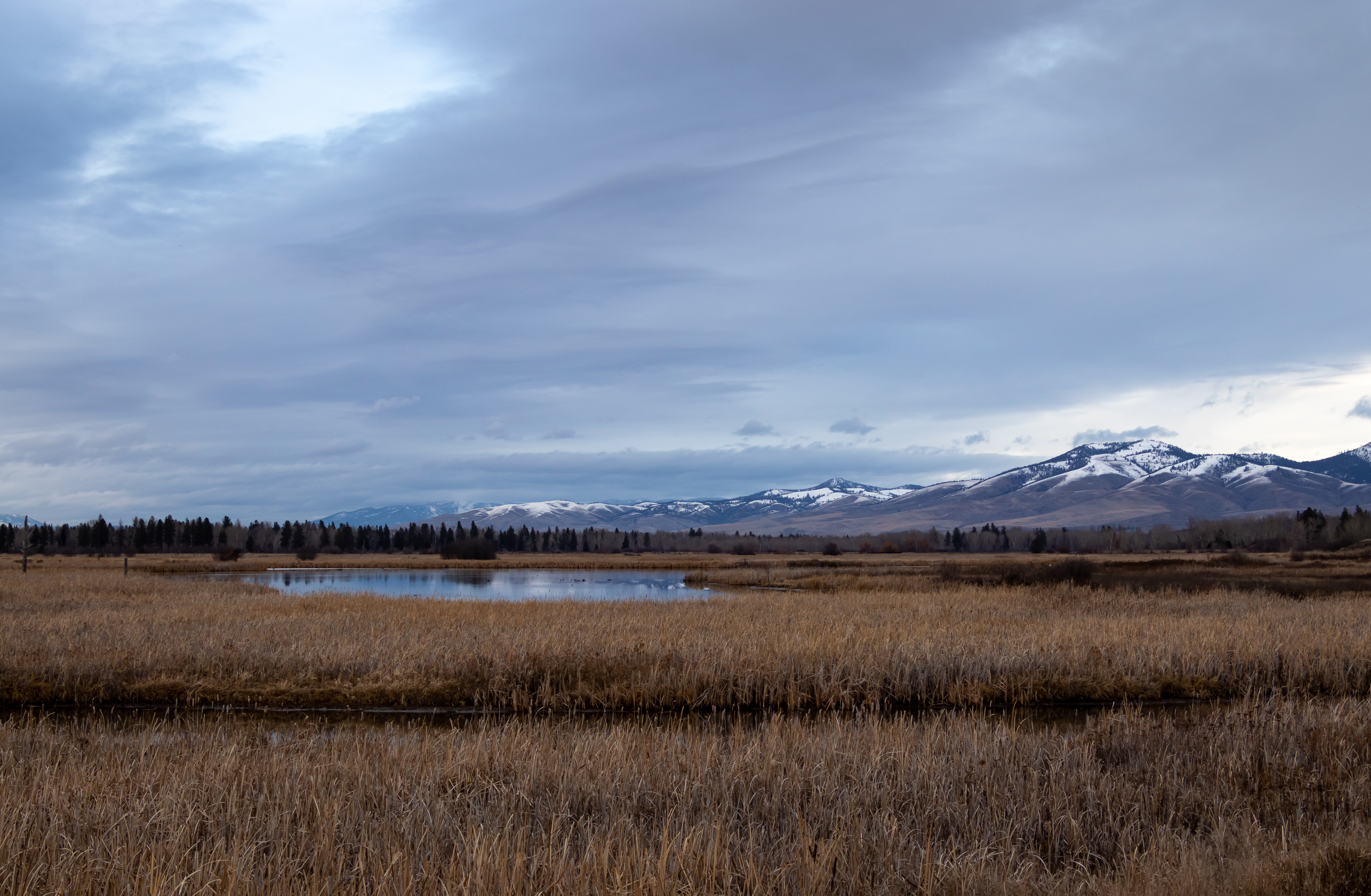 Wetlands in Montana