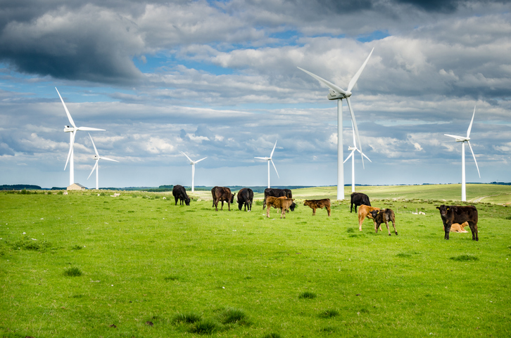 Wind Farm