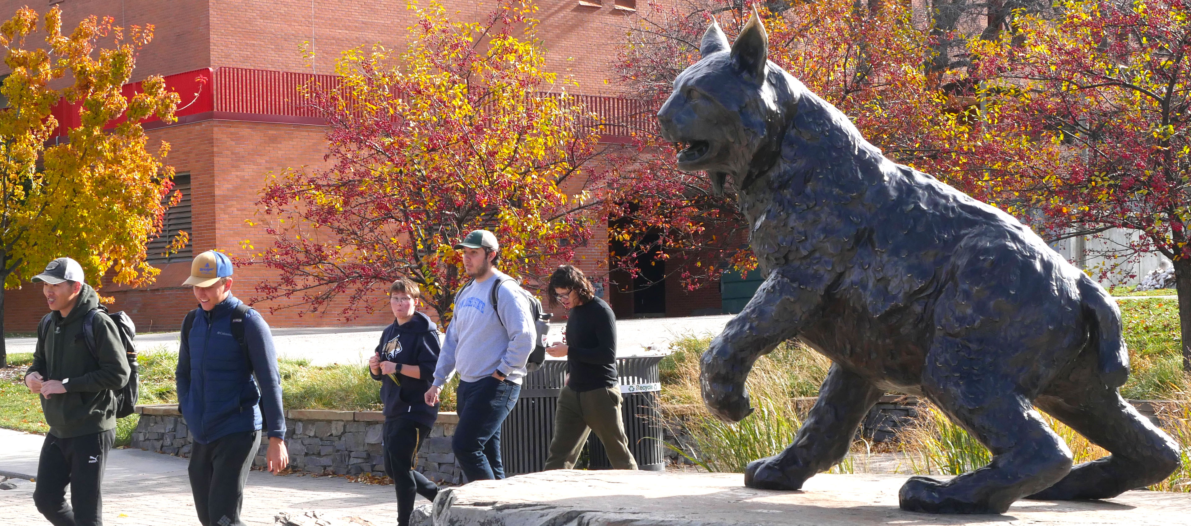 Students walking next to spirit