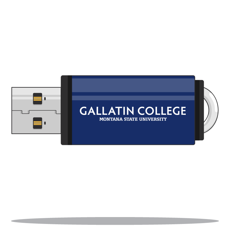 dark blue thumbdrive with msu logo