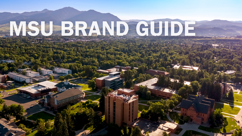 MSU Brand Guide