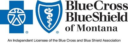 Blue Cross Blue Shield logo