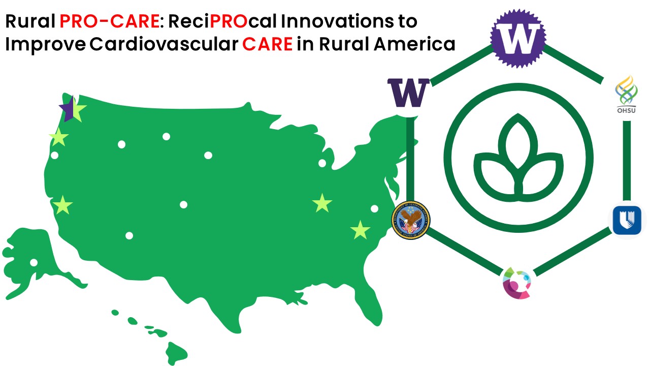 Rural Pro-Care network map