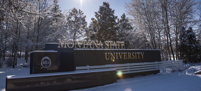 MSU Entrance Sign