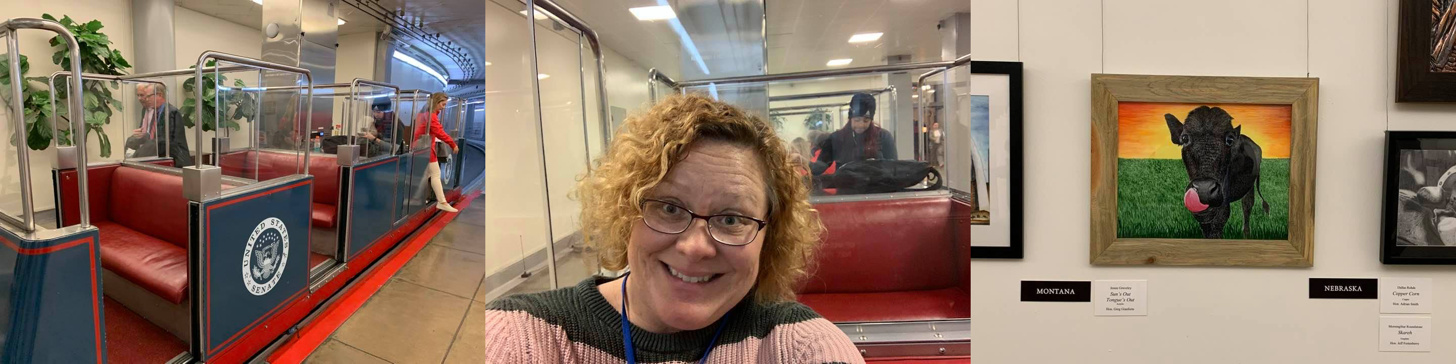 Three pictures: US Senate Train. Ann Ewbank on the US Senate Train. Photo from Montana: Sun's Out, Tongue's Out.