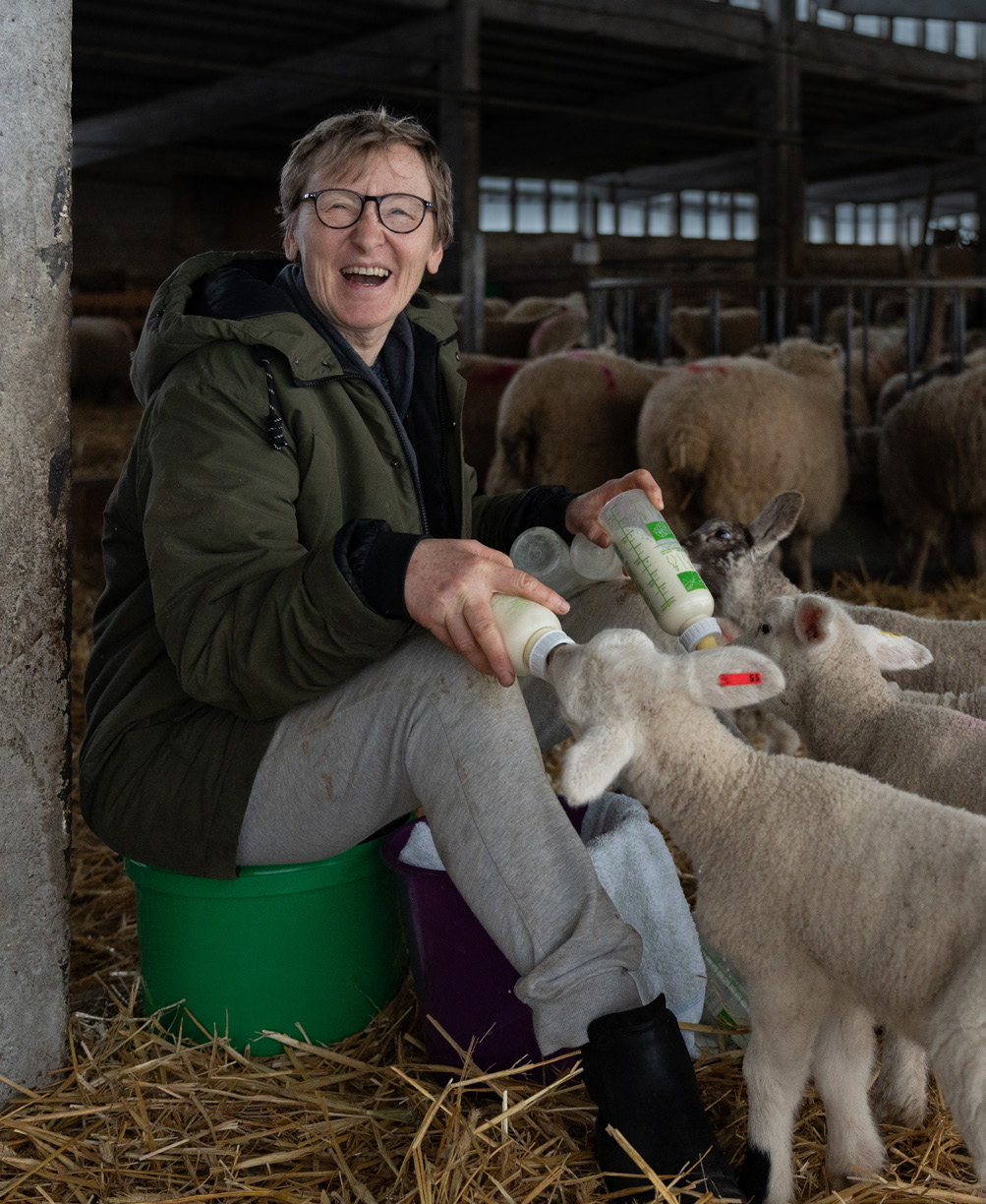 Women with Lambs