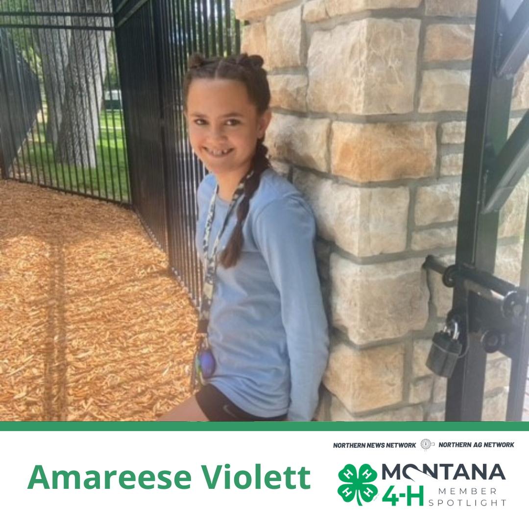 Amareese Violet