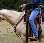 Person on a tan horse holding reins with two steady hands four inches apart