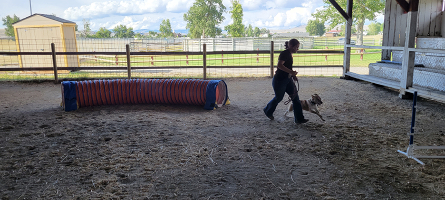 Anaconda-Deer Lodge County 4-H member and her dog, Potato