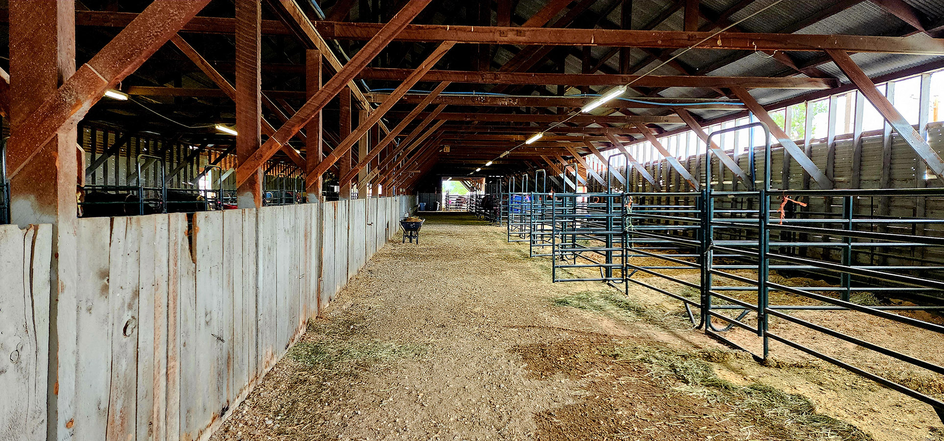 Inside of the small animal barn showing an alleyway and fencing 