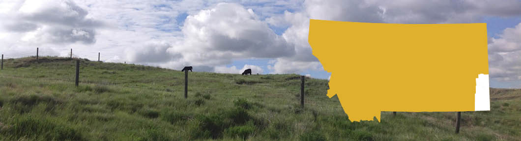 A scenic field photo with outline map of Montana overlaying it