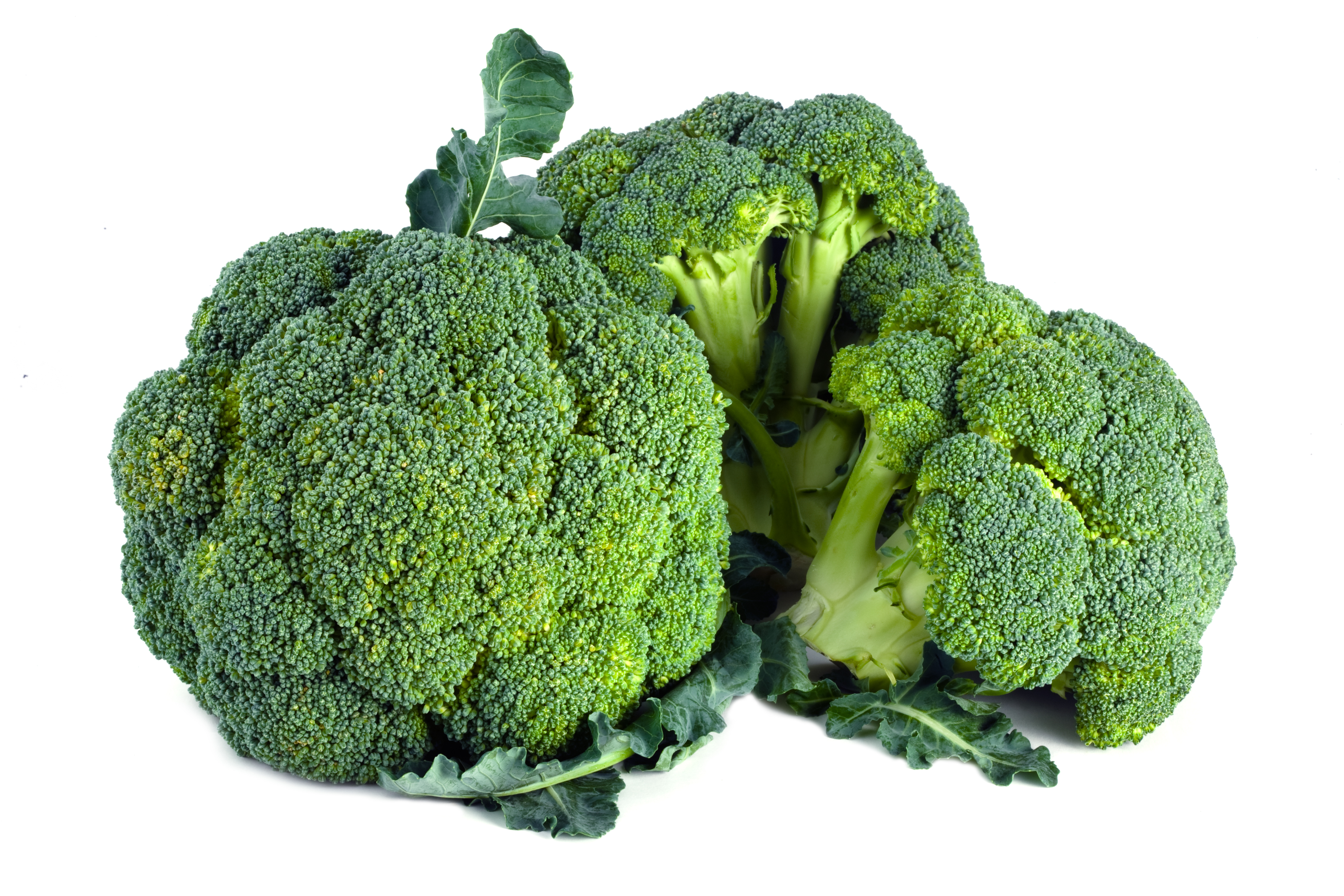 Three crowns of broccoli.