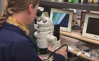 Decorative photo of Mary Burrows using a microscope