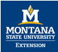 MSU Blue Logo