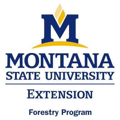 MSUEF Logo