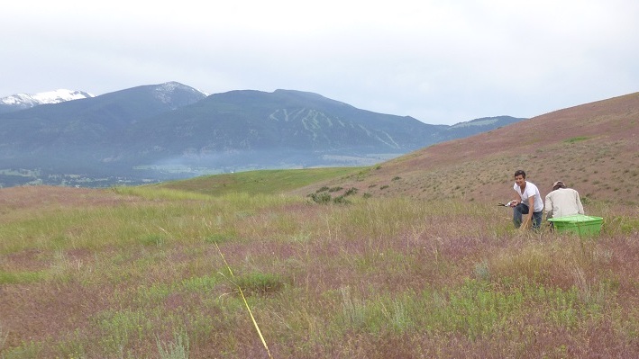 two people kneeling in cheatgrass field with mountains in background