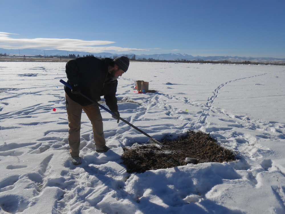 photo of a person working in a snowy field