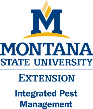 MSU Extension IPM