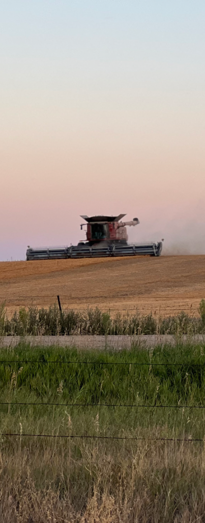 a combine tractor drives across a field at dusk