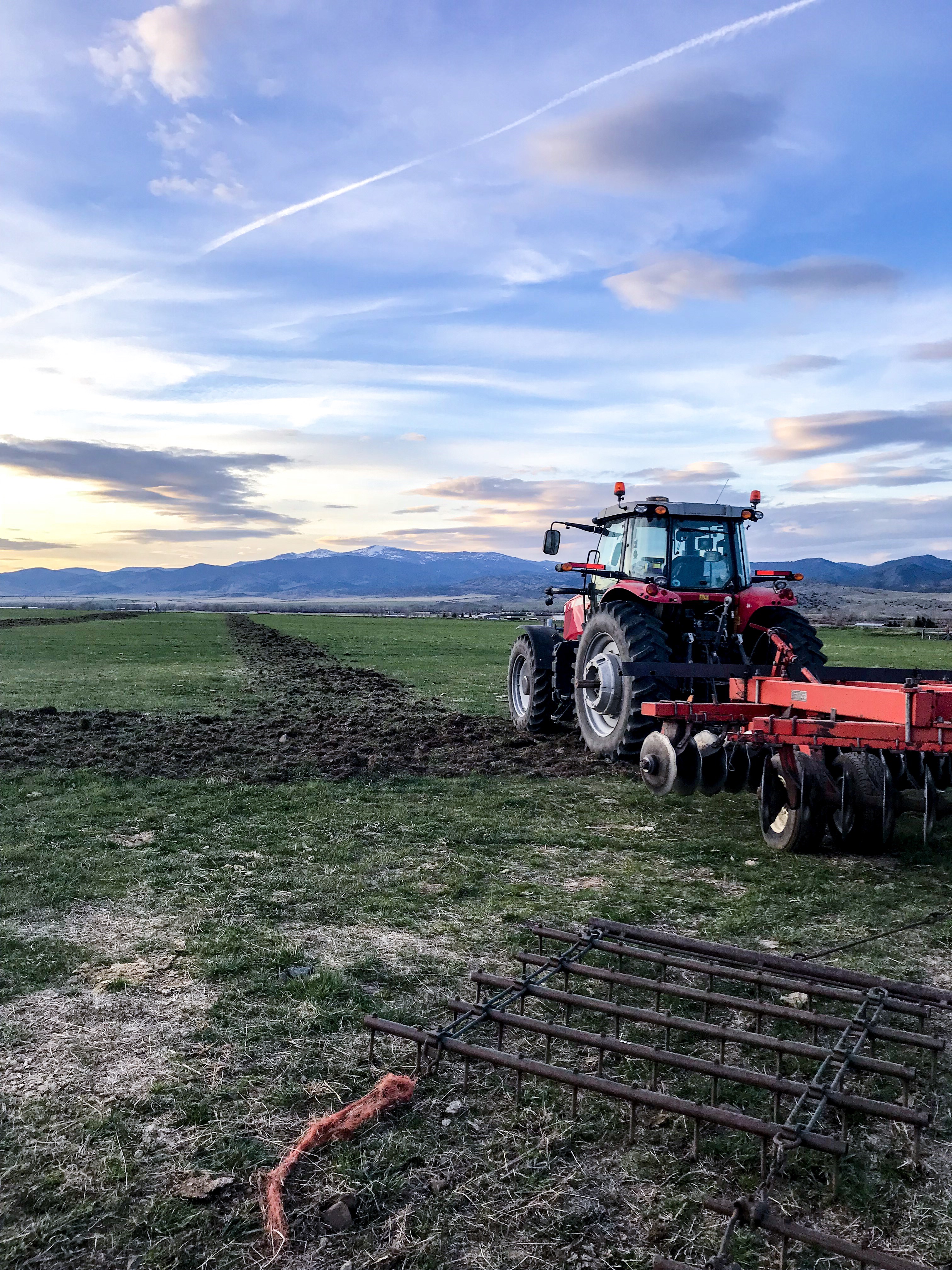 Massey Ferguson tractor facing the Elkhorn Mountains at sunset