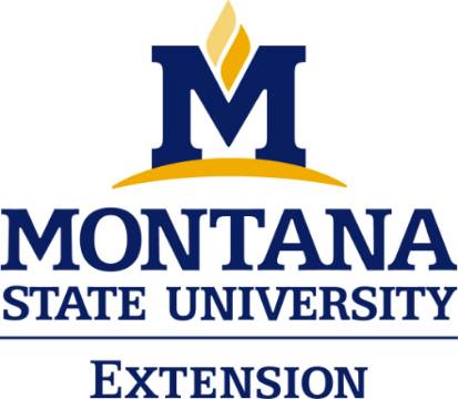 MSU Extension logo