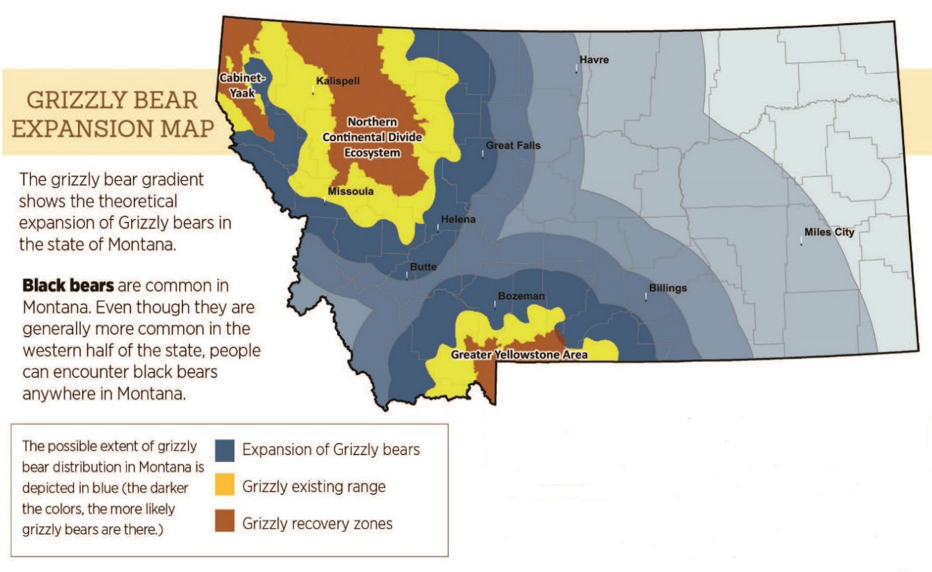 This map depicts the grizzly bear recovery zones in the Greater Yellowstone Area, the Northern Continental Divide Ecosystem surrounding Glacier National Park, and the Cabinet-Yaak region. These zones are surrounded by concentrically larger regions radiating outward depicting grizzly existing range in the next concentric ring, and the possible extent of grizzly bear distribution radiating outwards from these existing ranges across most of the state.