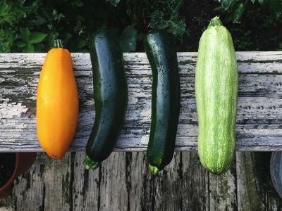 summer squash