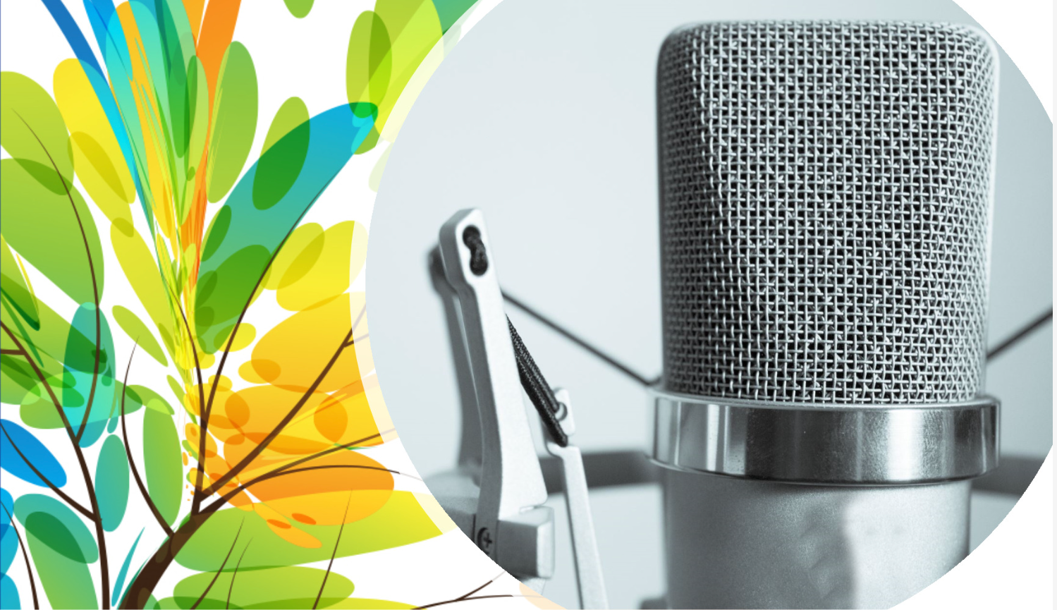 image of microphone