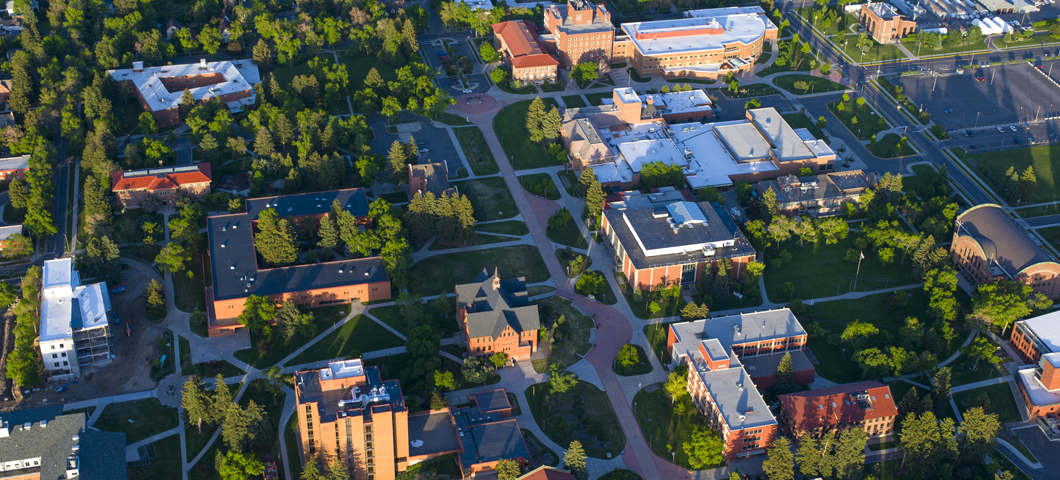 View from above of the mall at MSU.