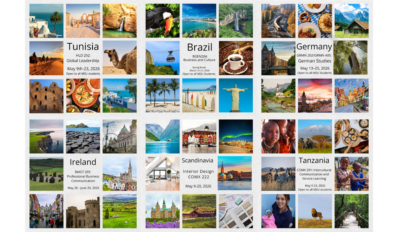MSU Faculty-Led Study Abroad Programs MSU Faculty-Led Study Abroad Programs