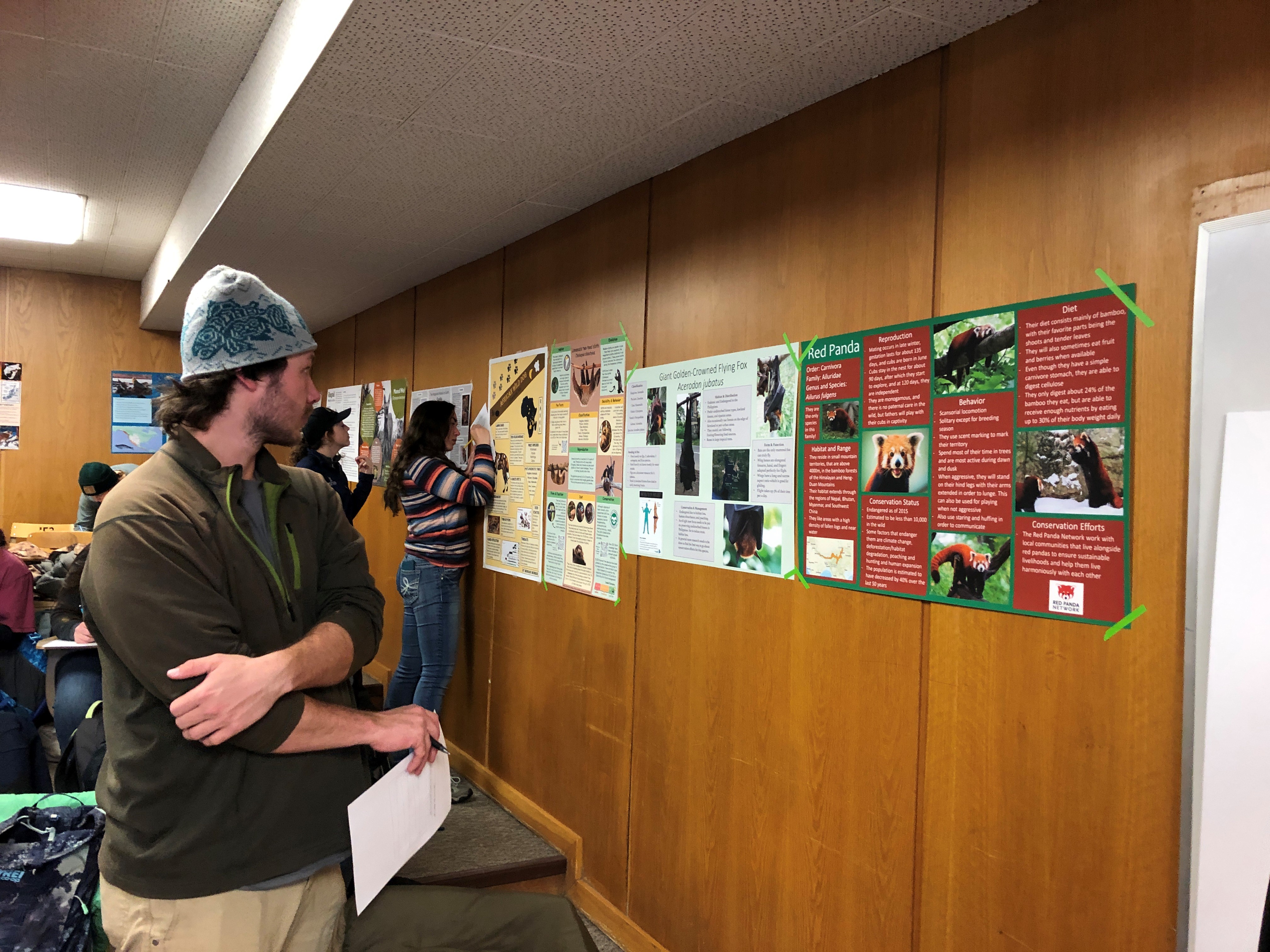 Christian viewing others' mammal posters.