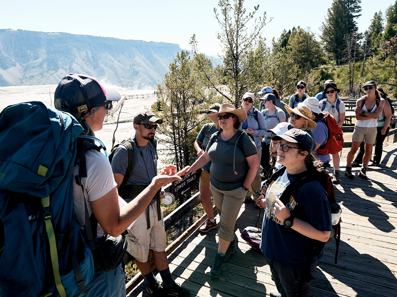 photo of a summer field course 