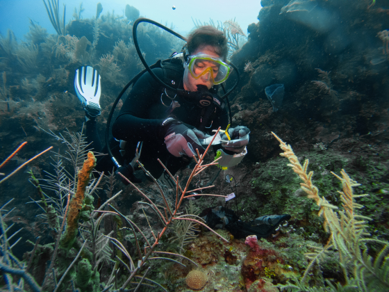 Dr. Zoe Pratte SCUBA Diving