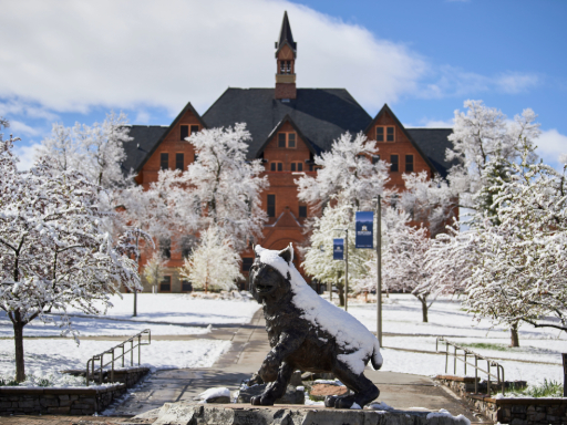 student walks in snow to class