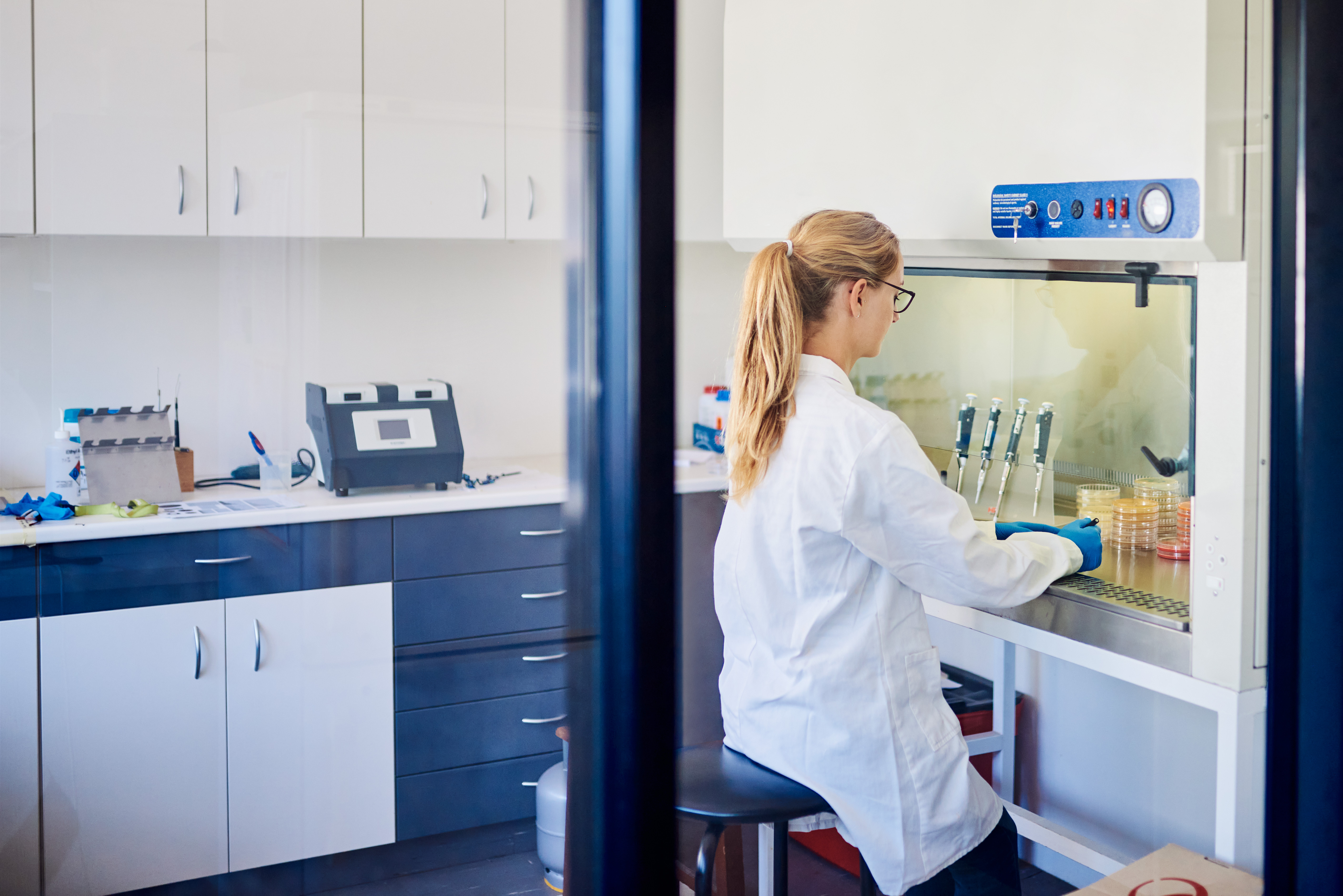 person at biosafety cabinet