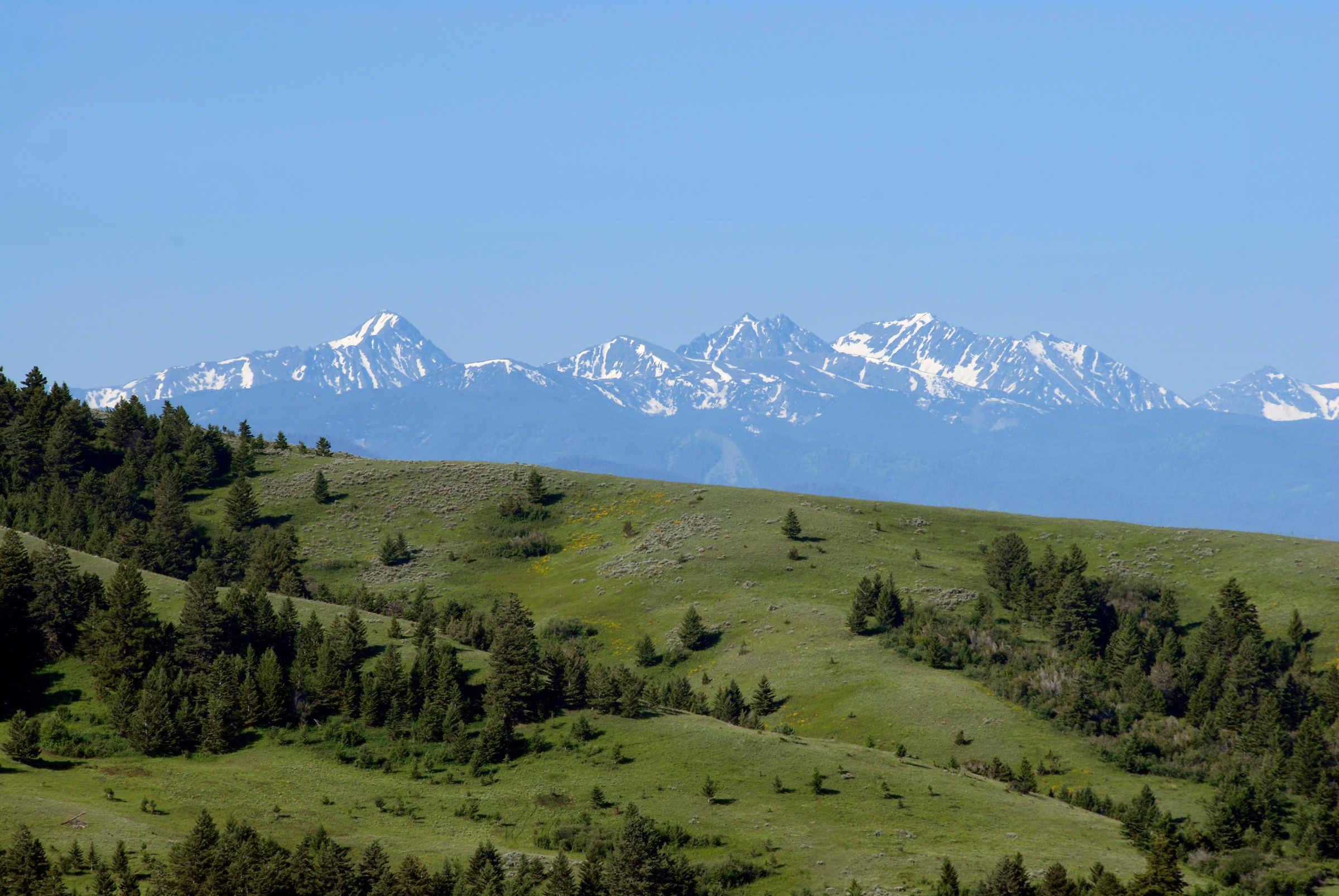 Bridgers with green hill in foreground