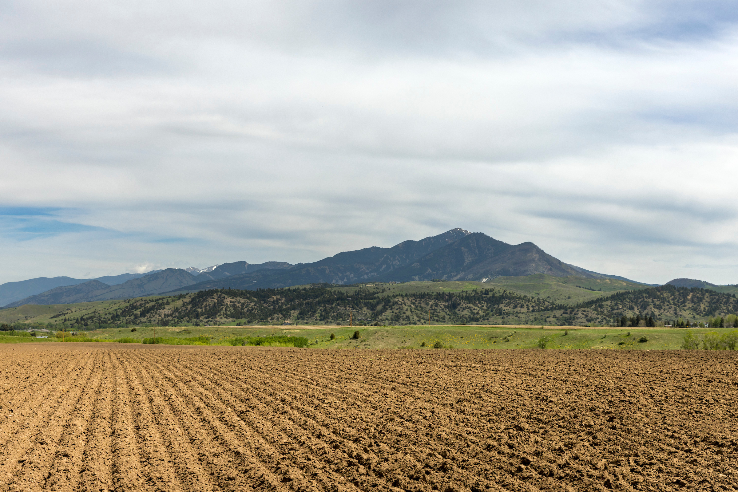 farmland