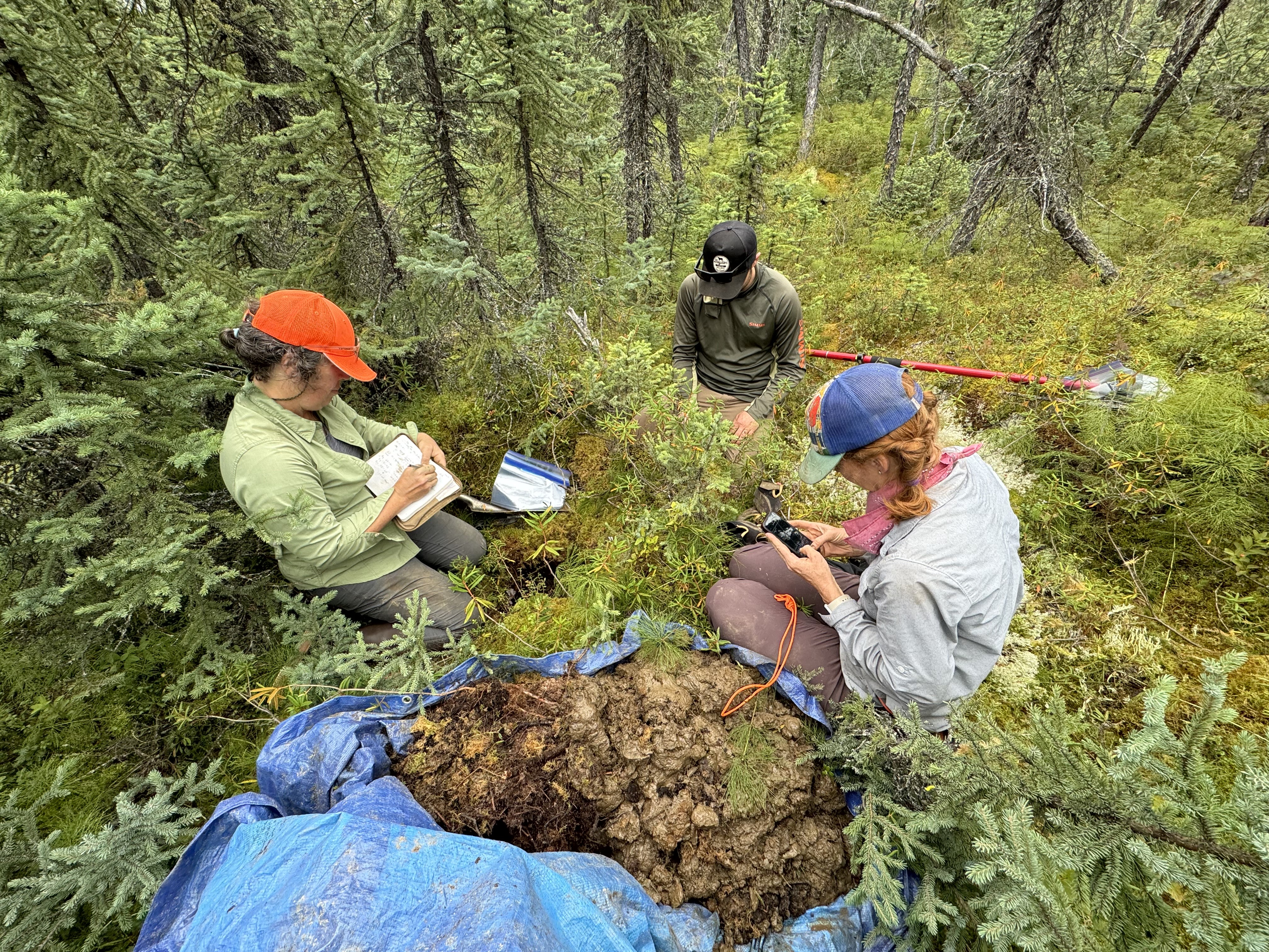 researchers in the field